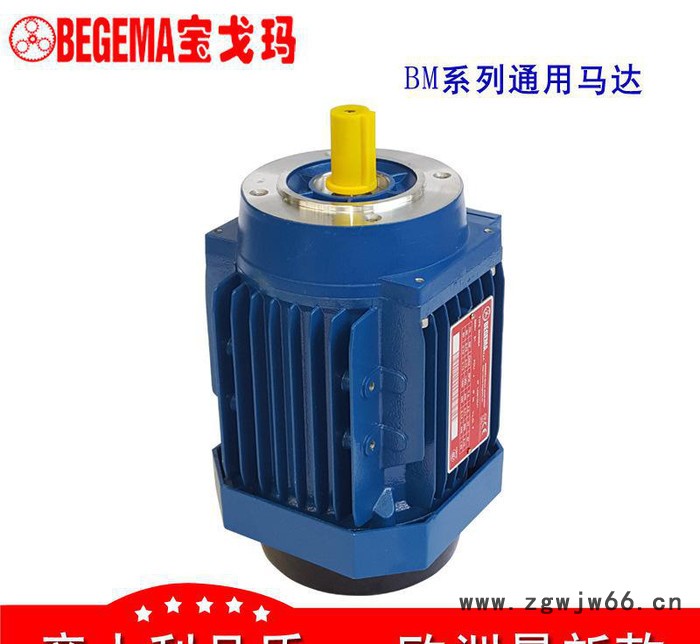 河南现货意大利BEGEMA宝戈玛工业用三相异步电机1.5kw马达图2