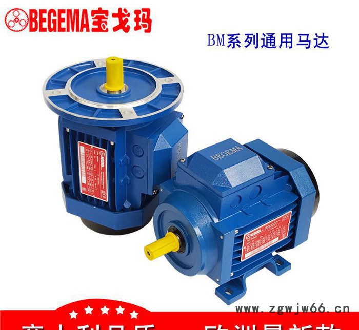 河南现货意大利BEGEMA宝戈玛工业用三相异步电机1.5kw马达图3