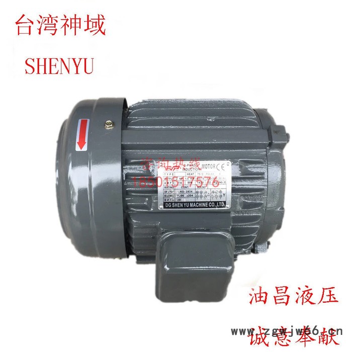 台湾神域SHENYU电机 5HP 3.75 4KW 三相异步电机 科振KZYY