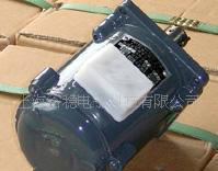 YDT250-2，YDT250W微型三相异步电机图3