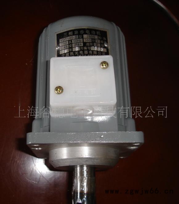YDT250-2，YDT250W微型三相异步电机图2
