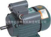 YL系列YL100L1-4，2.2千瓦4极国标单相双值异步电机图3