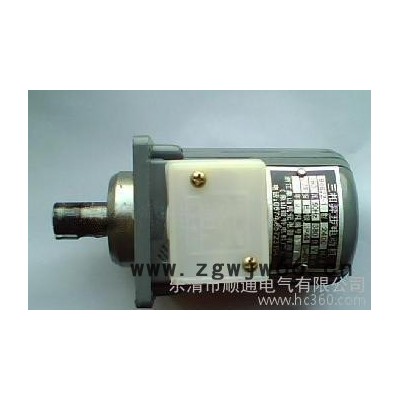 B112Z-400W微型异步电机