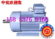 供应中兖YBK2系列三相异步电机图2