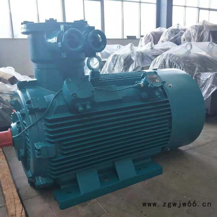 河北祥力电机YBX3系列高效率隔爆型三相异步电机 高效电机图2