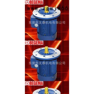 东莞宝戈玛三相异步电机BM100L1-4-2.2kw