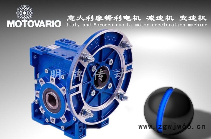 意大利MOTOVARIO电机 原装进口MOTOVARIO电机图2