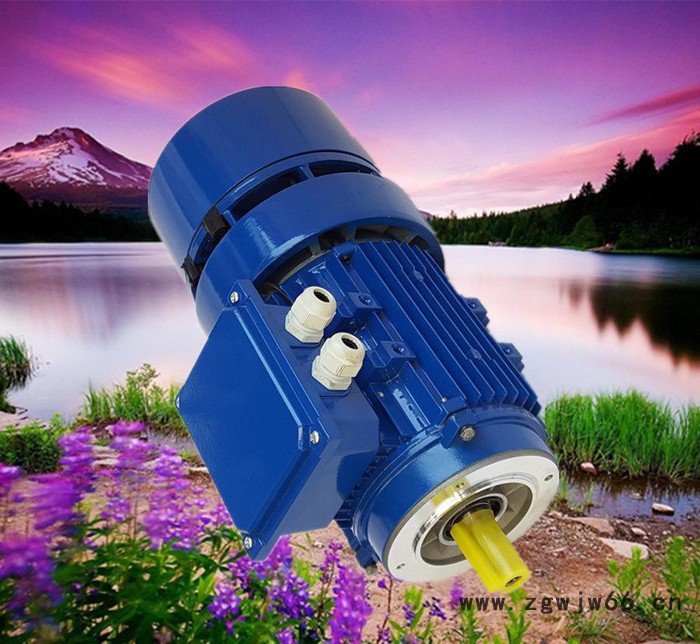 意大利BEGEMA宝戈玛刹车电机,意大利进口品质刹车电机,江苏代理图2