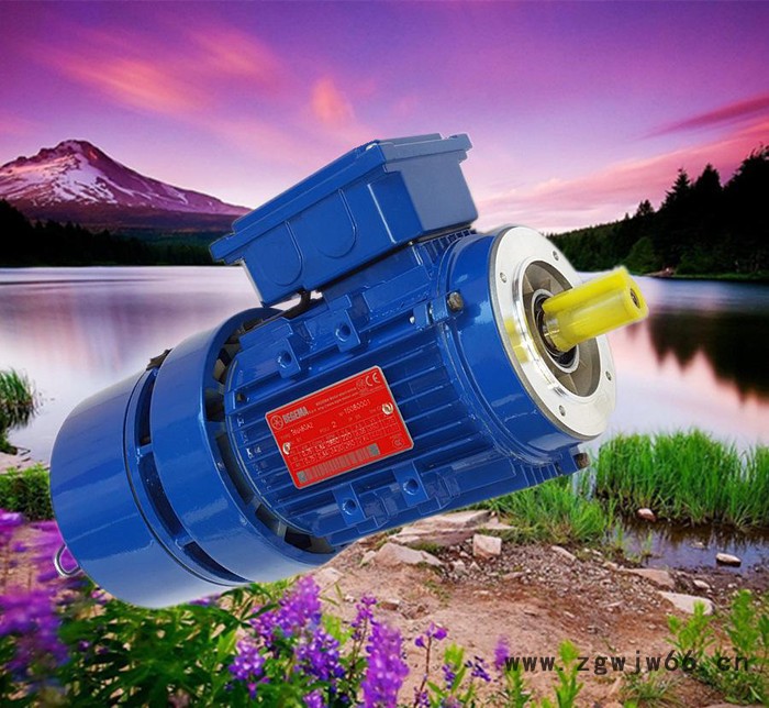 意大利BEGEMA宝戈玛刹车电机,意大利进口品质刹车电机,江苏代理图3