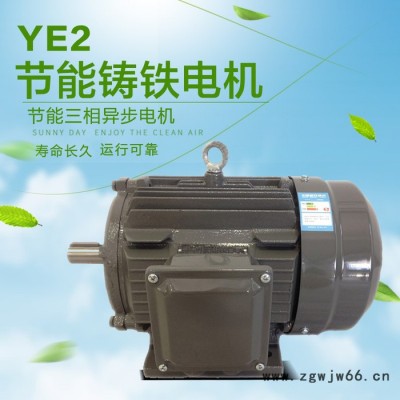 上海德东 三相异步电机 YE2-100L1-4 2.2KW