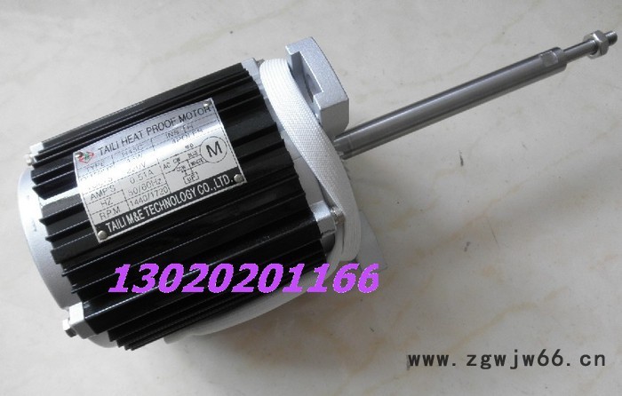 供应台力TL-40W耐高温异步电机