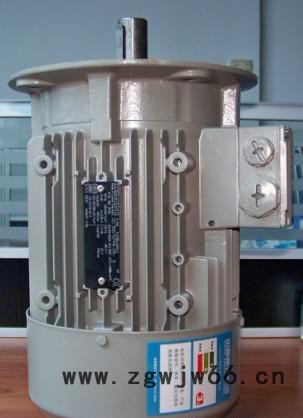 广东siemens电机 西门子电机 三相异步电机图2