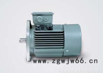 广东siemens电机 西门子电机 三相异步电机图3