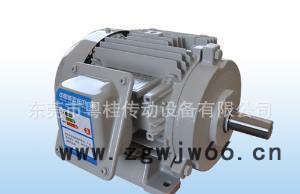 代理日本东芝Toshiba电机 三相异步电机图2