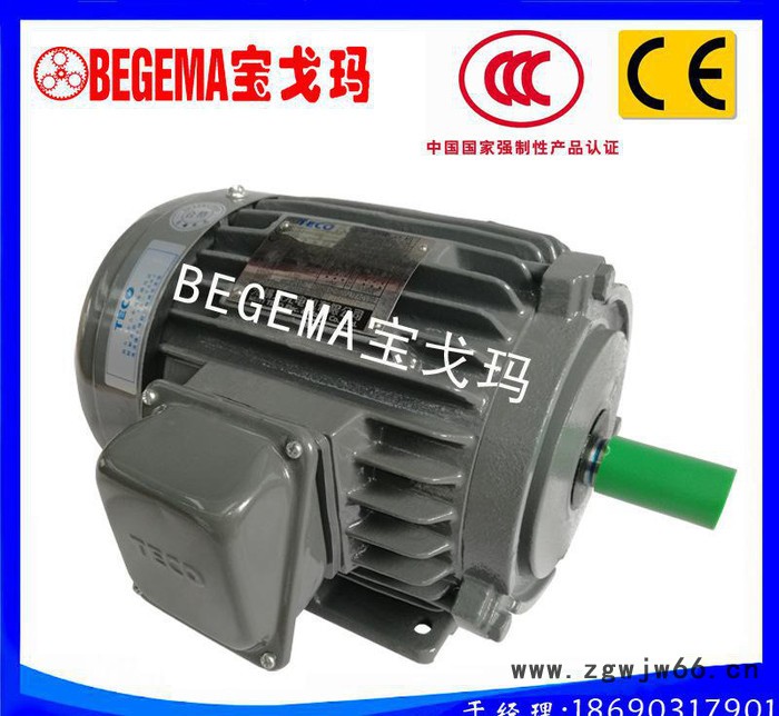 天津机械厂专用台湾TECO东元电机AEEF系列三相异步电机37kw图2