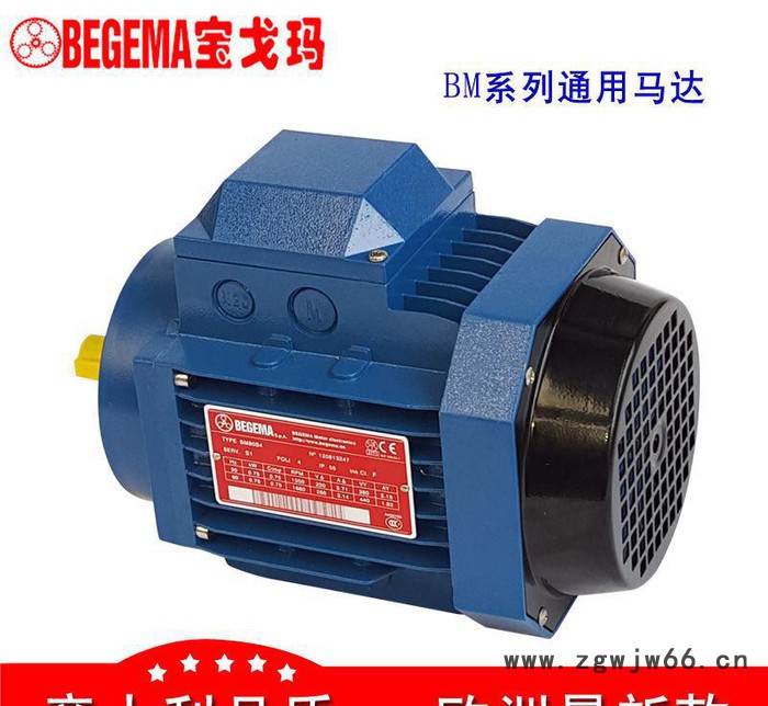 株洲厂价直销意大利BEGEMA宝戈玛工业通用三相异步电机4kwABB款图3
