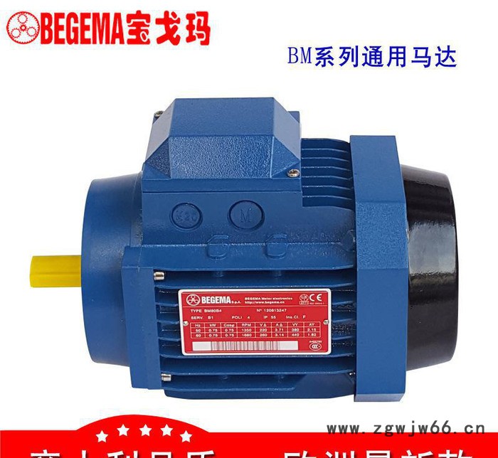 武汉厂价直销意大利BEGEMA宝戈玛工业通用三相异步电机3kwABB款图2