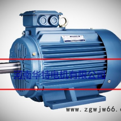 华特YE2-Y180M-2级 三相异步电机
