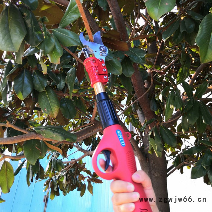 无刷电机茶园剪枝机 高枝电动剪 充电式修枝剪图2