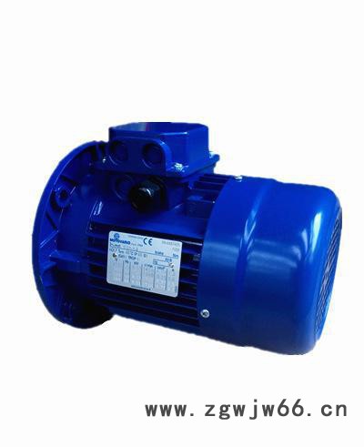 T71C4-0.55KW意大利MOTOVARIO进口电机图2