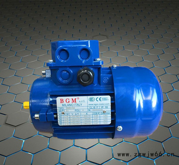 苏州代理意大利B&M电机  原装进口刹车电机 BMD132M-4-B5图3