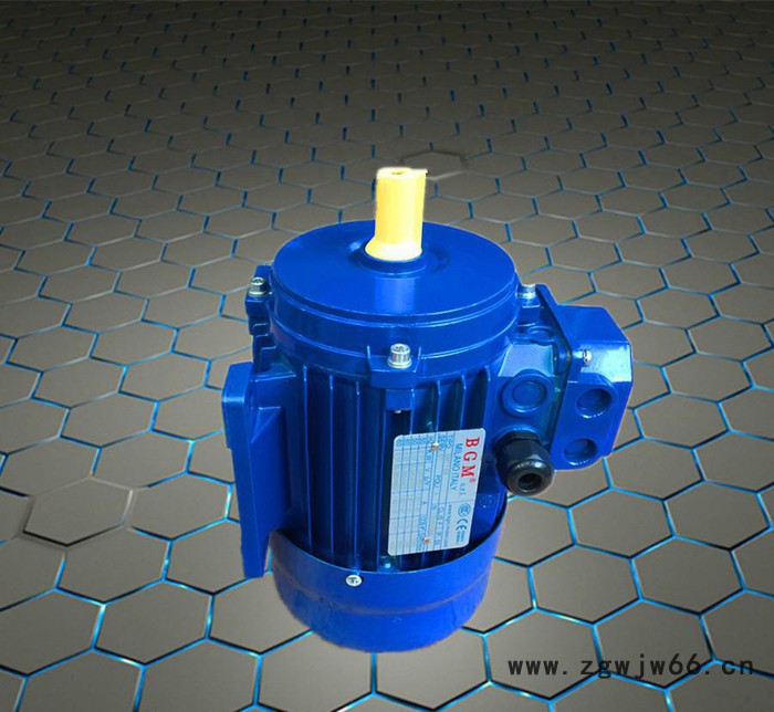 苏州代理意大利B&M电机  原装进口刹车电机 BMD132M-4-B5图2