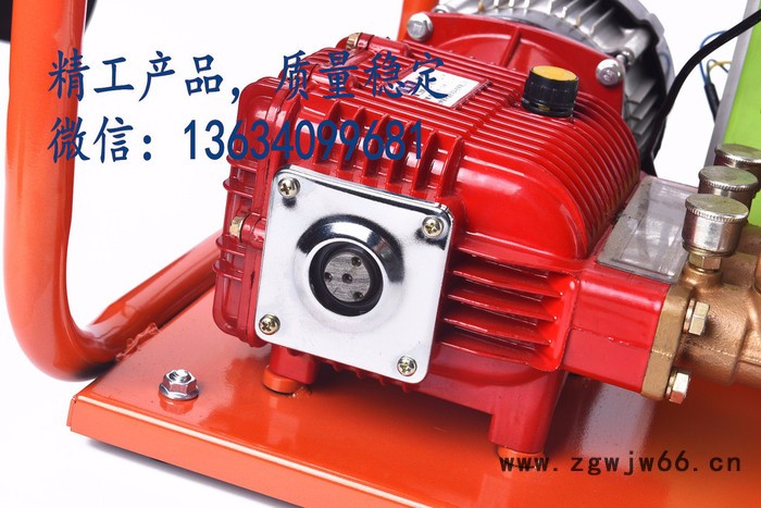 2018新款48V/60V打药机 60V果树打药机厂果树菜园电动打药喷雾泵大棚蔬菜小麦无刷电机喷雾机消毒泵批发图2