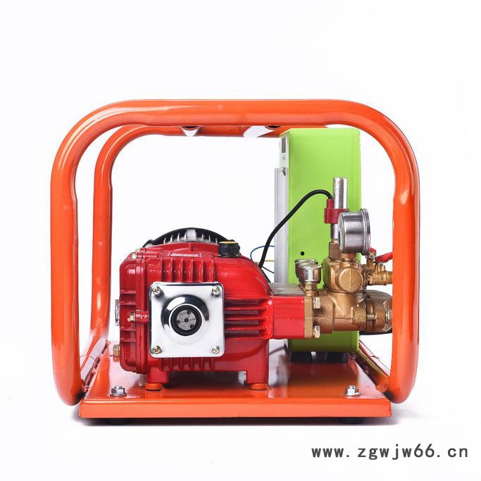 2018新款48V/60V打药机 60V果树打药机厂果树菜园电动打药喷雾泵大棚蔬菜小麦无刷电机喷雾机消毒泵批发图6