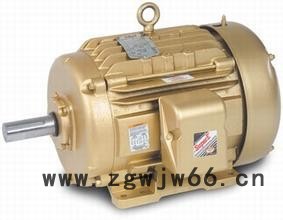 德国进口中高端电机电机