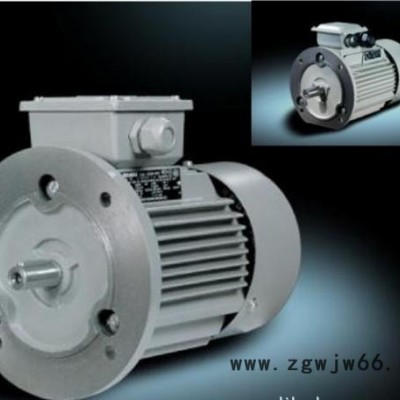 广东三相异步电机 西门子电机 东莞西门子三相异步电机