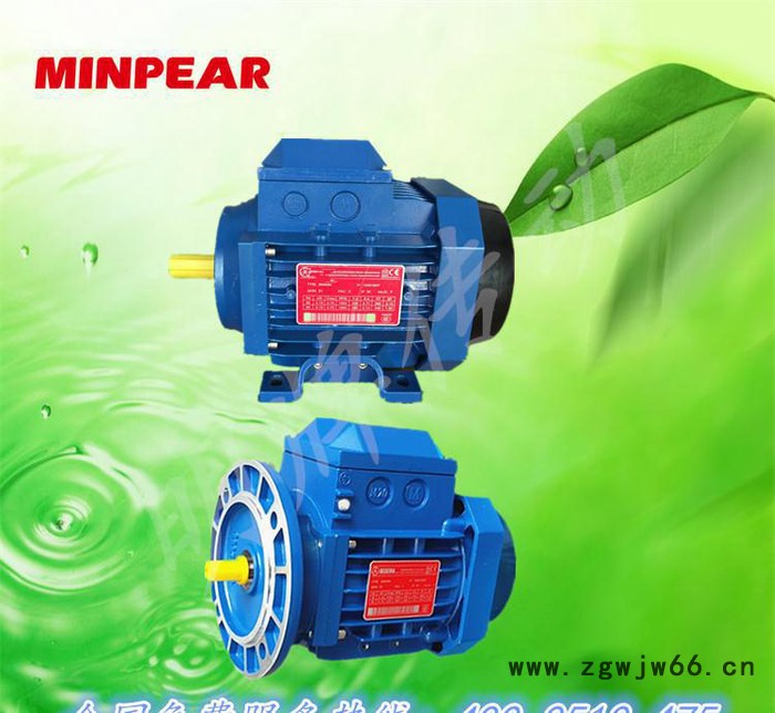 铝合金马达工厂直销铝壳电机三相异步电机YS8024B5广州现图2