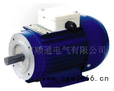 微型异步电机BO62Z-11(60W)图2