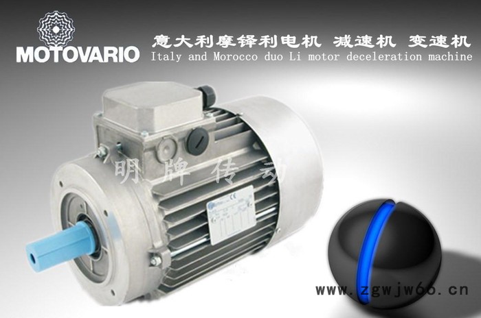 一级代理意大利MOTOVARIO电机进口三相异步电机意大图3
