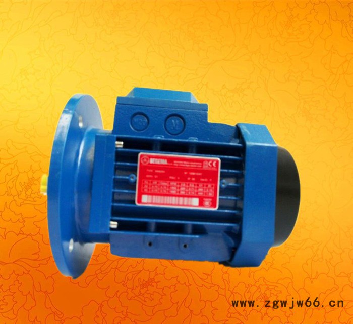 苏州市马达,宝戈玛两极电机,三相异步电机,全铜线图3