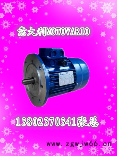 T100LA-4-2.2KW意大利MOTOVARIO进口电机东莞深圳珠海现货图2