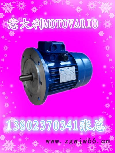 T100LA-4-2.2KW意大利MOTOVARIO进口电机东莞深圳珠海现货图3