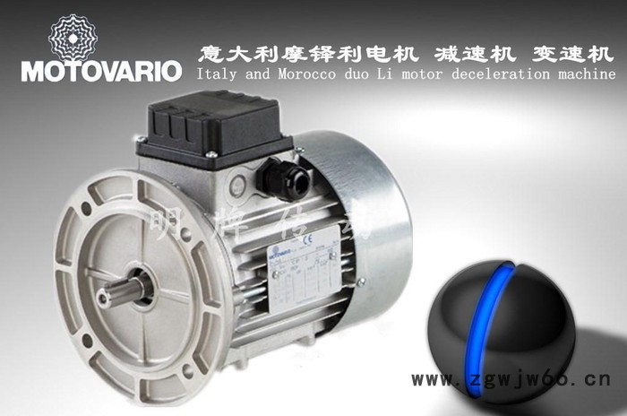 一级代理意大利**MOTOVARIO电机进口三相异步电机意大图2
