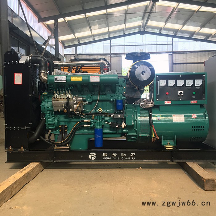 潍柴100千瓦发电机组 ATS 控制柜 纯铜无刷电机 100kw柴油发电机组 潍柴100kw发电机图5