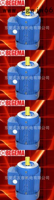 宝戈玛BEGEMA高效节能三相异步电机图3