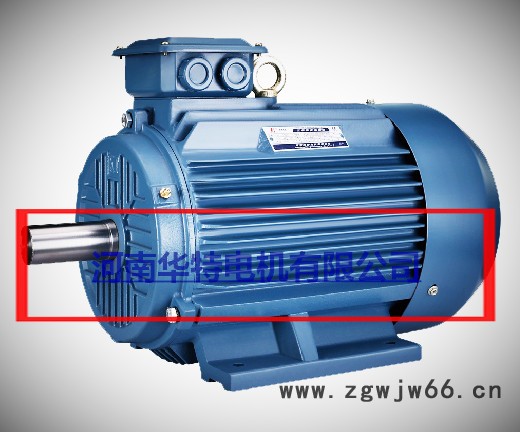 华特Y100L-2级3kw 三项异步电机图3