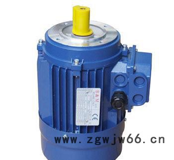 意大利B&M进口电机中国总代理图3