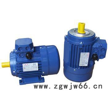 意大利B&M进口电机中国总代理图2