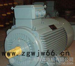 Y2 355-4   315KW三相异步电机 大功率马达  国标电动机图2