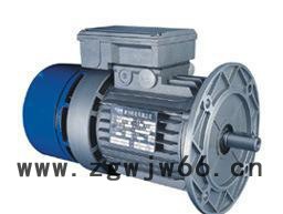 深圳意大利原装进口MGM刹车电机图3