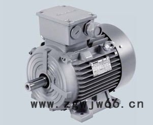 代理西门子变频三相异步电机1LE0002-1DC23-3AA46极7.5KW图3