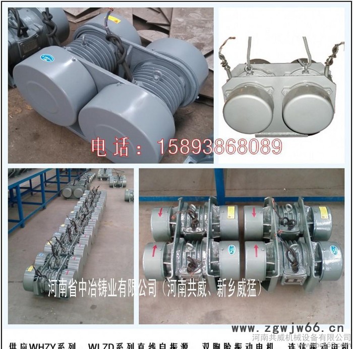 中冶振动电机与进口相** WHZY-2*30-4图2