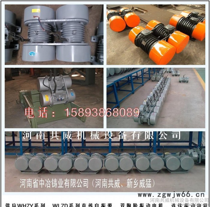 中冶振动电机与进口相** WHZY-2*30-4图3
