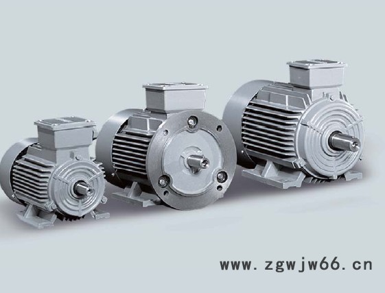 浙江西门子三相交流异步电机 1LG0106-4AA20 2.图2