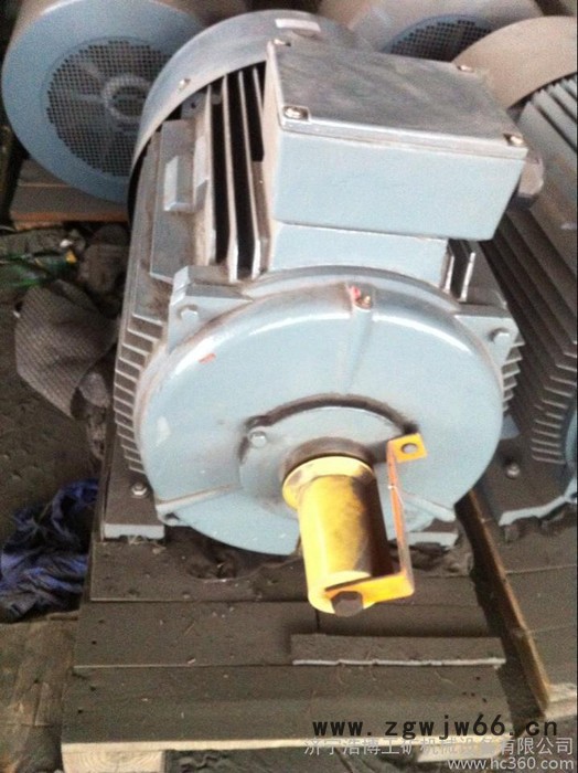 供应浩博Hoppt德国进口RITZ潜水电机图3