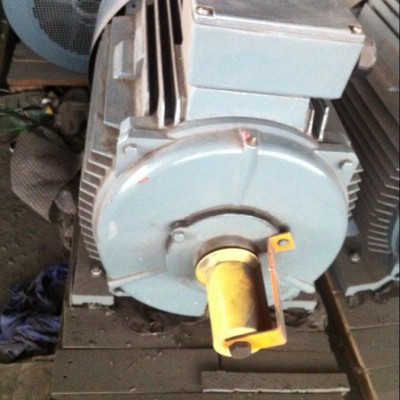 供应浩博Hoppt德国进口RITZ潜水电机